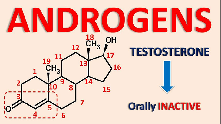 Hormone Androgen: Phái Nữ Nên Hiểu Như Thế Nào Cho Đúng Và Đủ