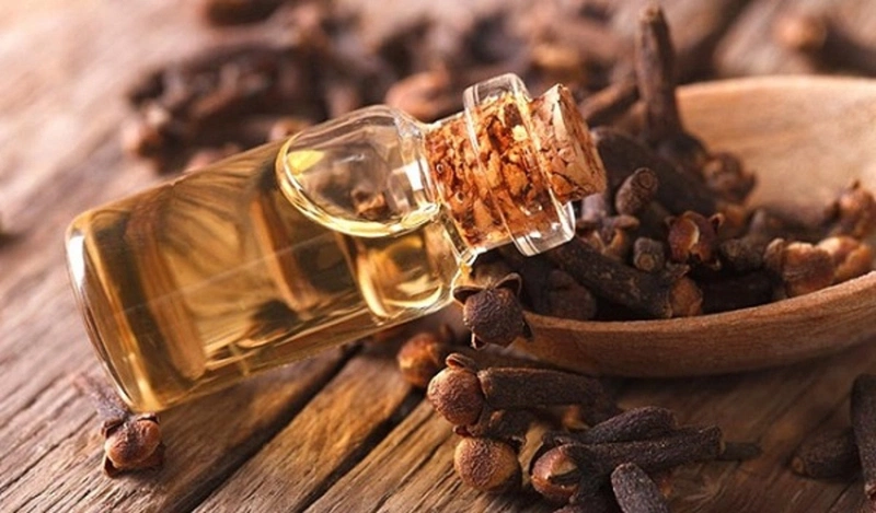 Tác dụng của tinh dầu đinh hương - Nhà thuốc FPT Long Châu